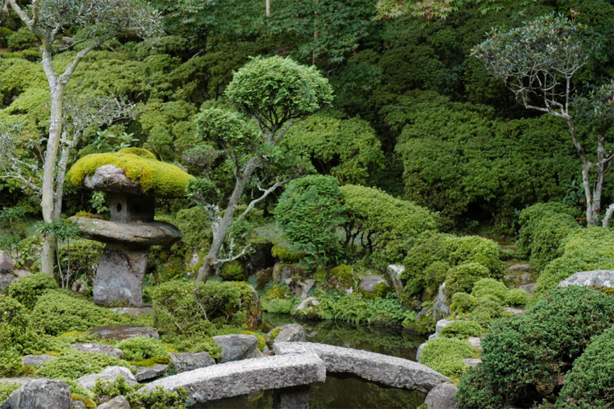 Japanese garden: 2