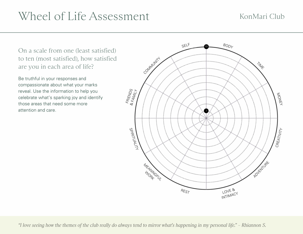 The Wheel of Life Assessment